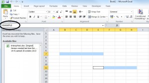 A range of non-contiguous cells in Excel