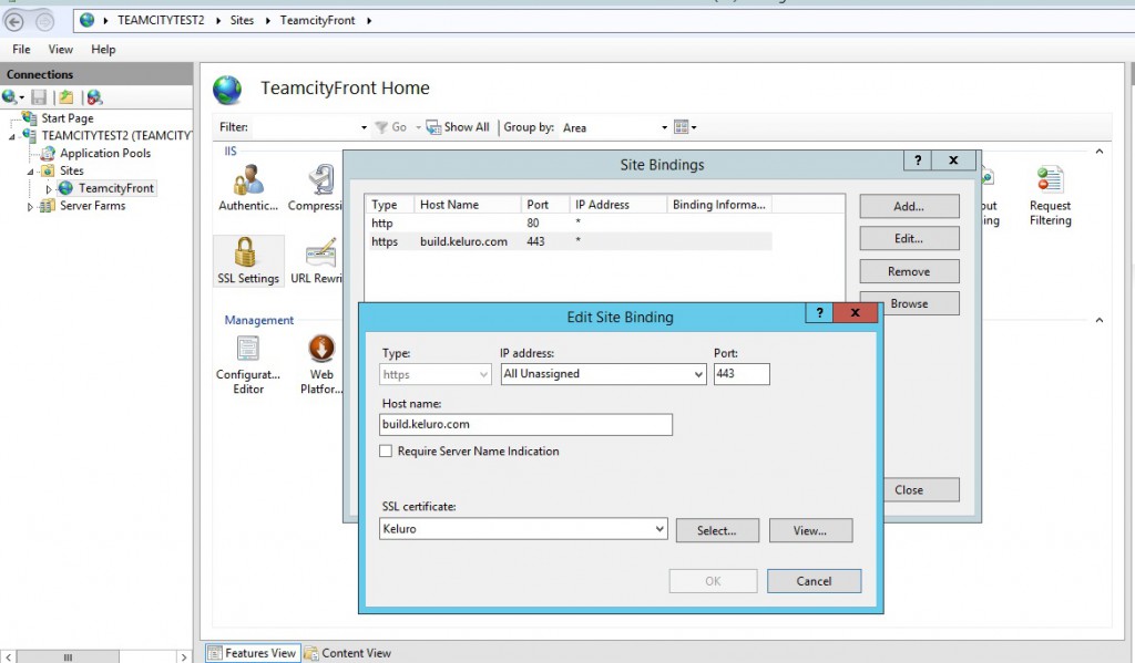 Create an HTTPS binding for the proxy server under IIS