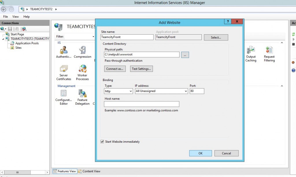 New TeamCityFront IIS website that point to the inetpub/wwwroot folder