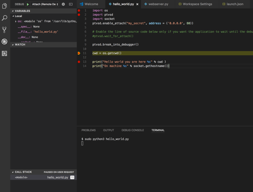 Breaking in VSCode