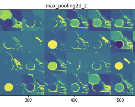 Deeplearning and Convnet neural networks are now the state-of-the-art methods for computer vision. Here are Convnet visualizations on a L. photo.